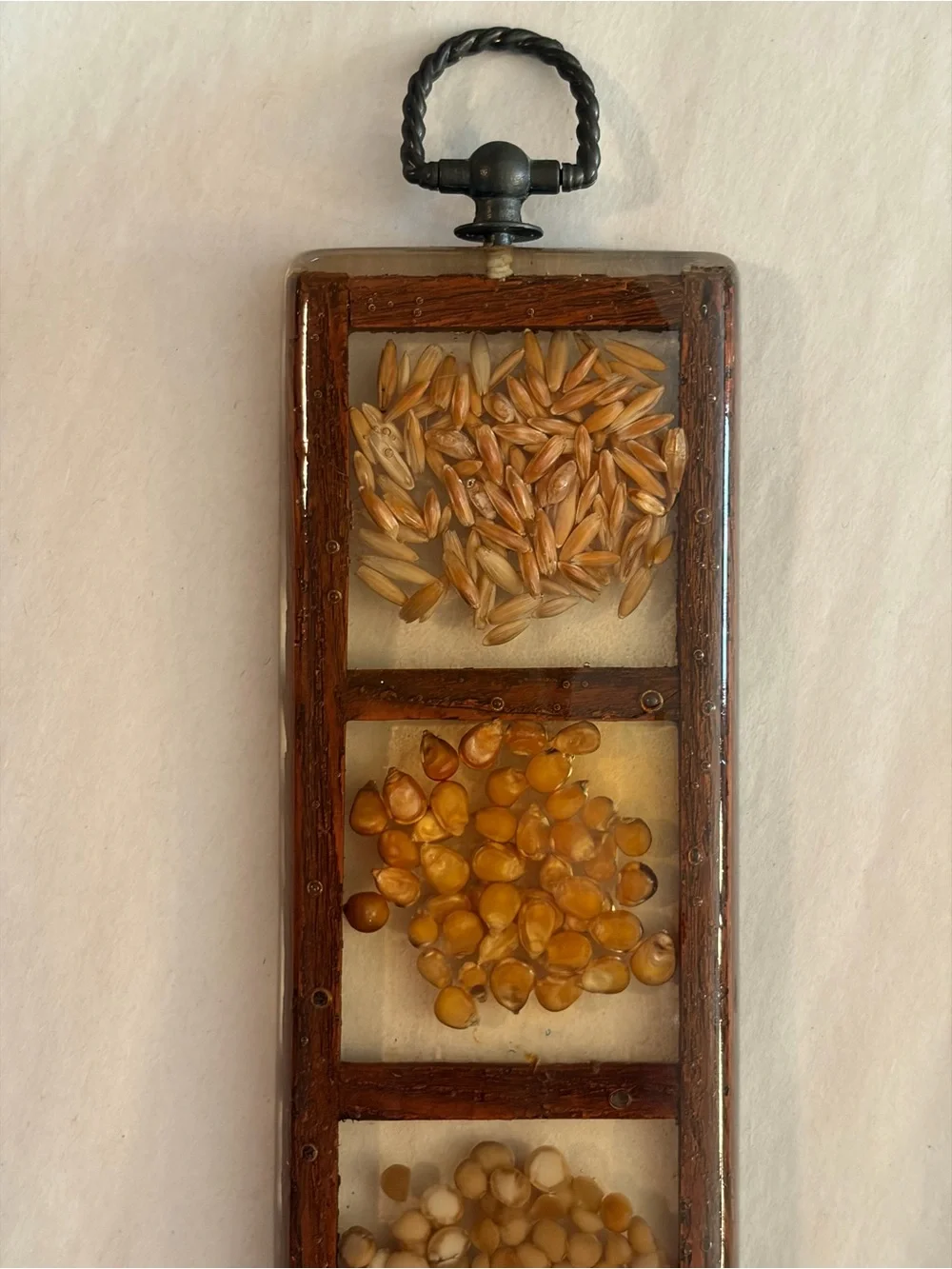 Vintage Gamut Designs Hanging Lucite, Wood & Natural Seed Display 13 1/8” Retro